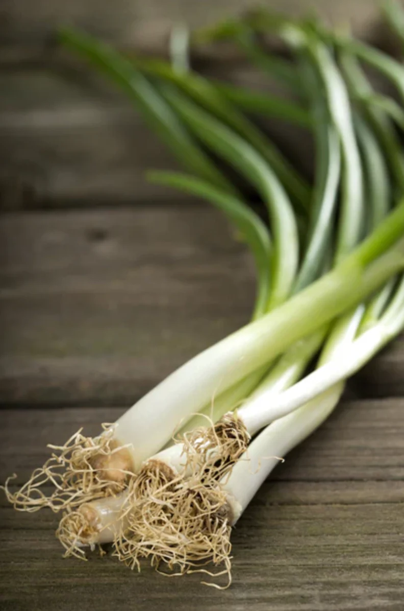 Onion 'Evergreen Bunching' Scallions - Vegetable Seeds - Image 4