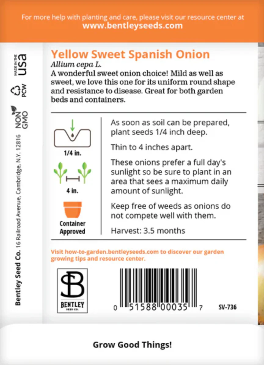 Onion 'Yellow Sweet Spanish' - Vegetable Seeds - Image 2