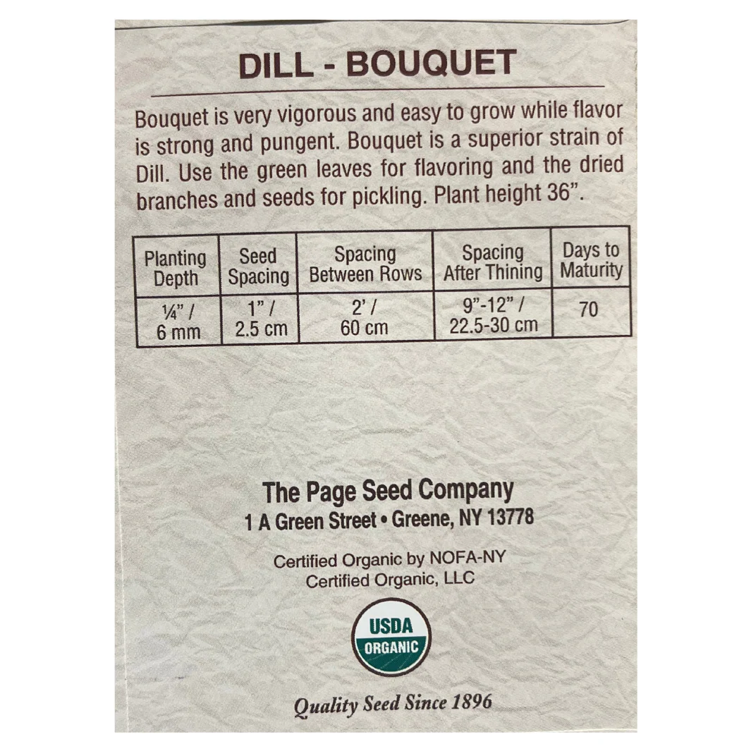 Organic Dill (Bouquet) - Herb Seeds - Image 2