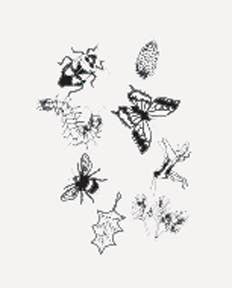 Outdoor Discovery Solar Print Kit - Image 4