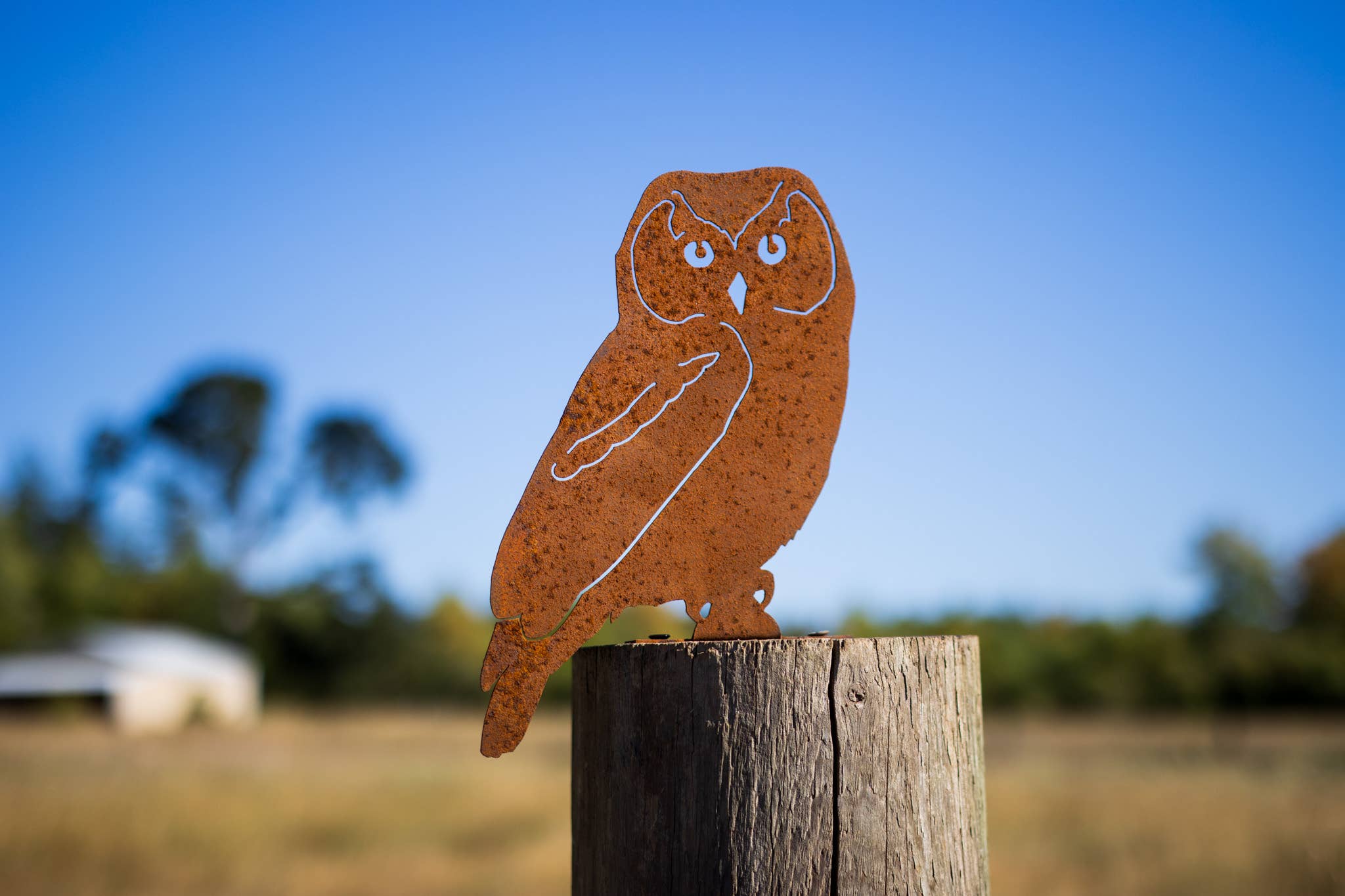 Owl Tab - Image 2