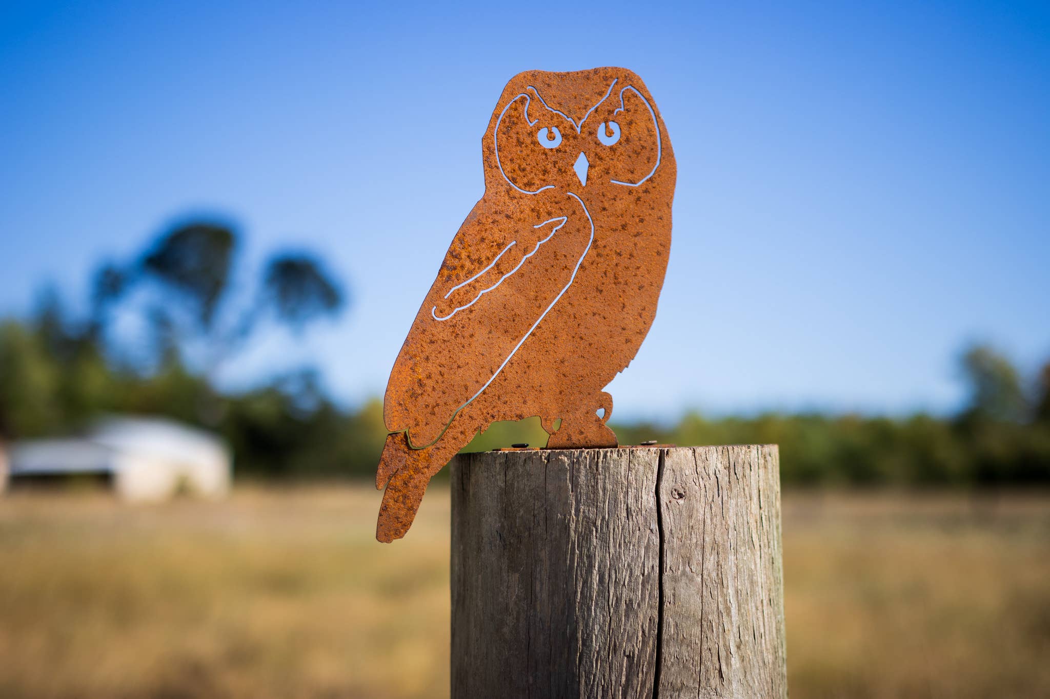 Owl Tab - Image 3