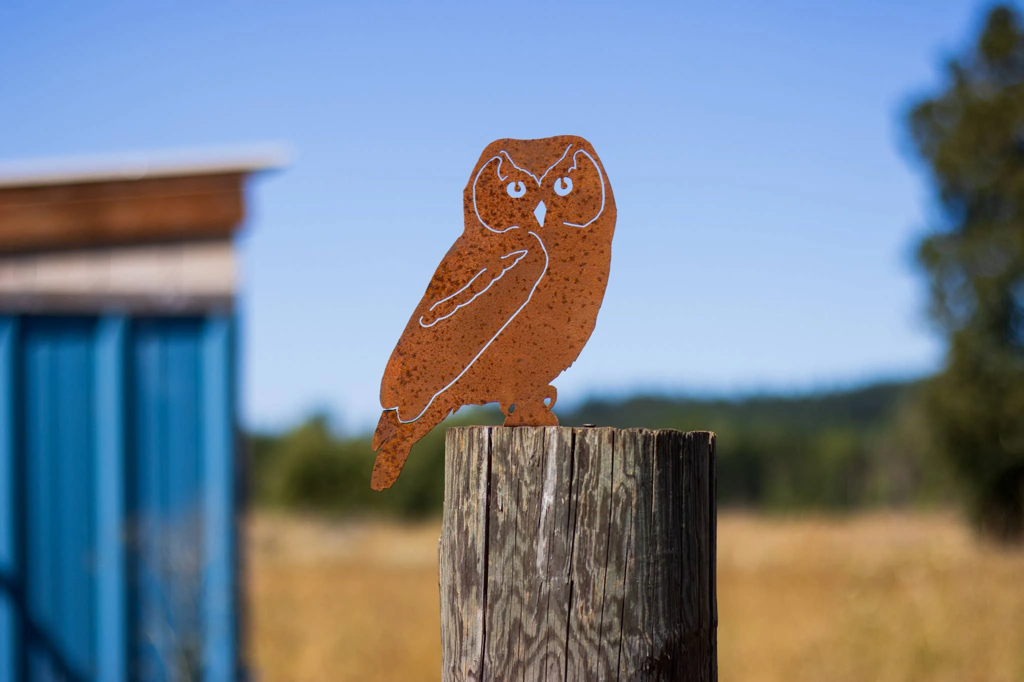 Owl Tab - Image 4