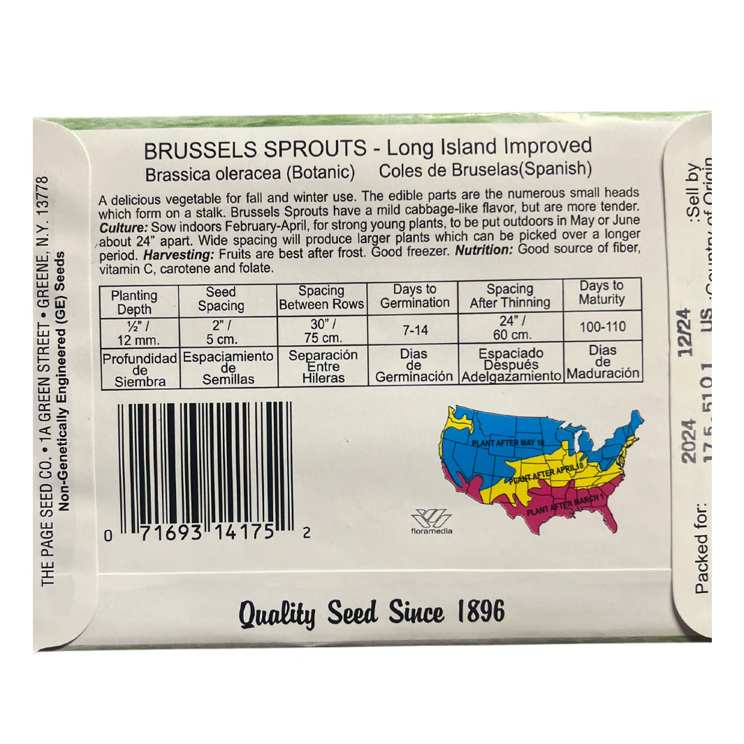 Brussel Sprouts - Long Island Improved Seeds - Image 2