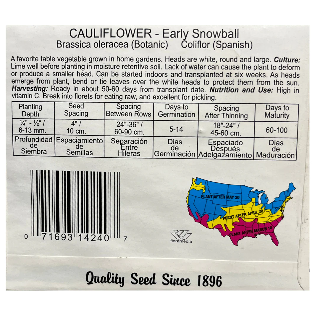Cauliflower, Early Snowball Seeds - Image 2