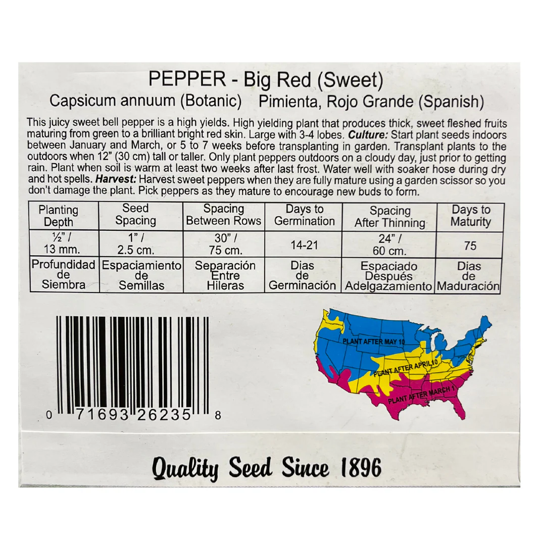 Pepper - Big Red Sweet Seeds - Image 2