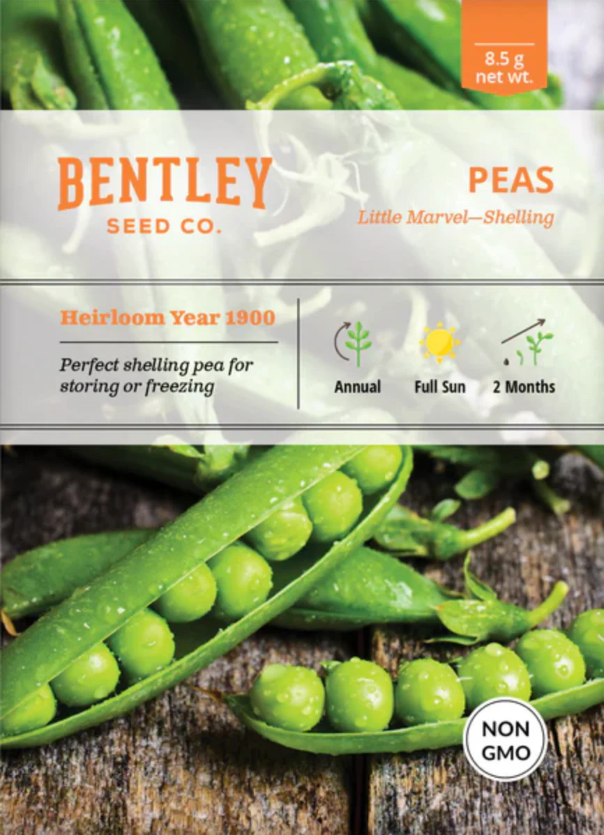 Peas 'Little Marvel Shelling' - Vegetable Seeds - Image 2