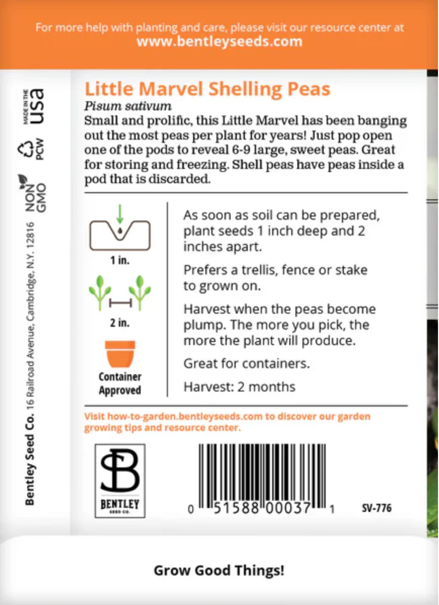 Peas 'Little Marvel Shelling' - Vegetable Seeds - Image 3