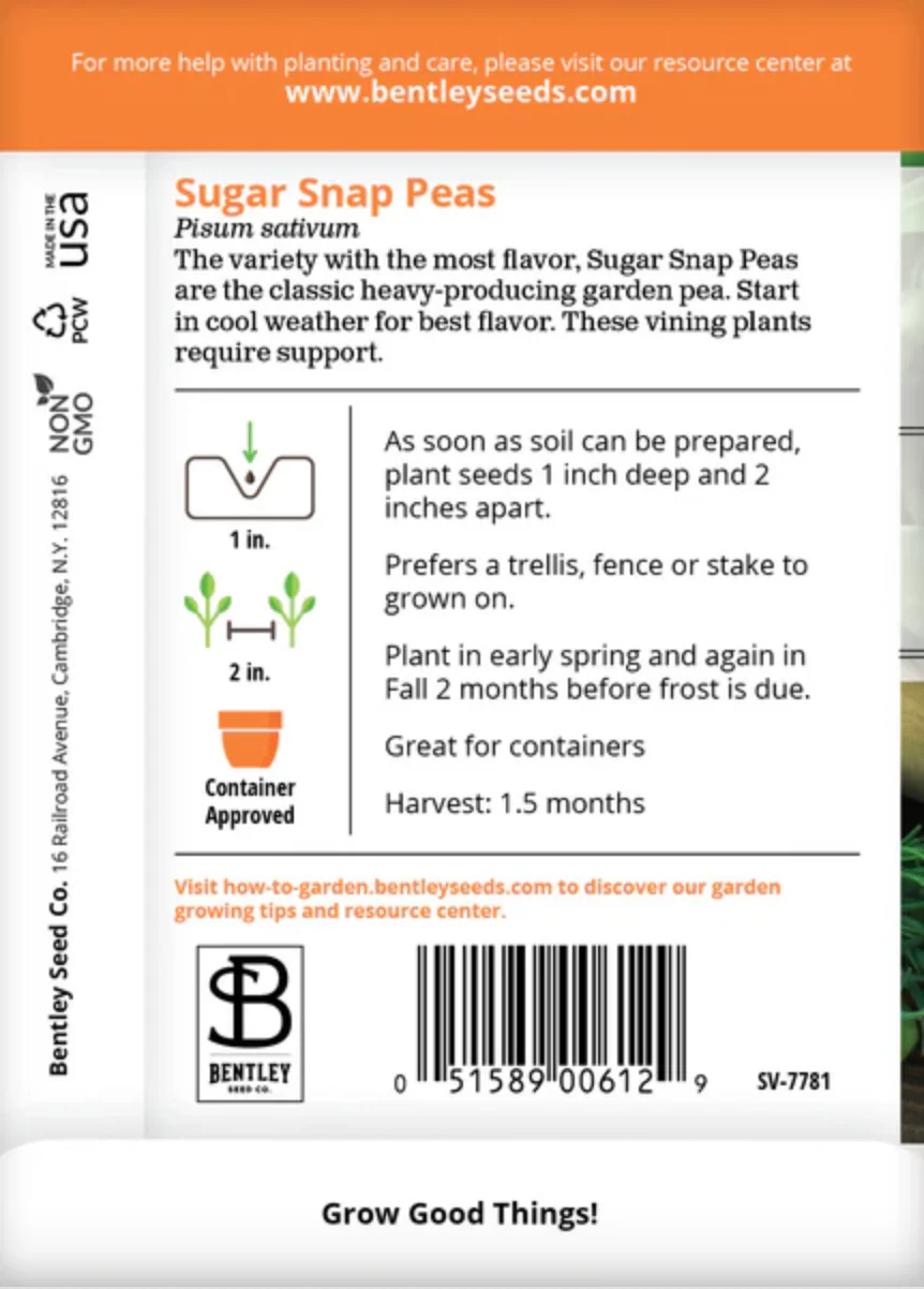 Peas 'Sugar Snap' - Vegetable Seeds - Image 3