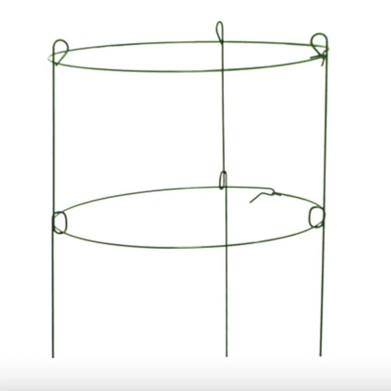 Peony Ring - Plant Support - Image 2