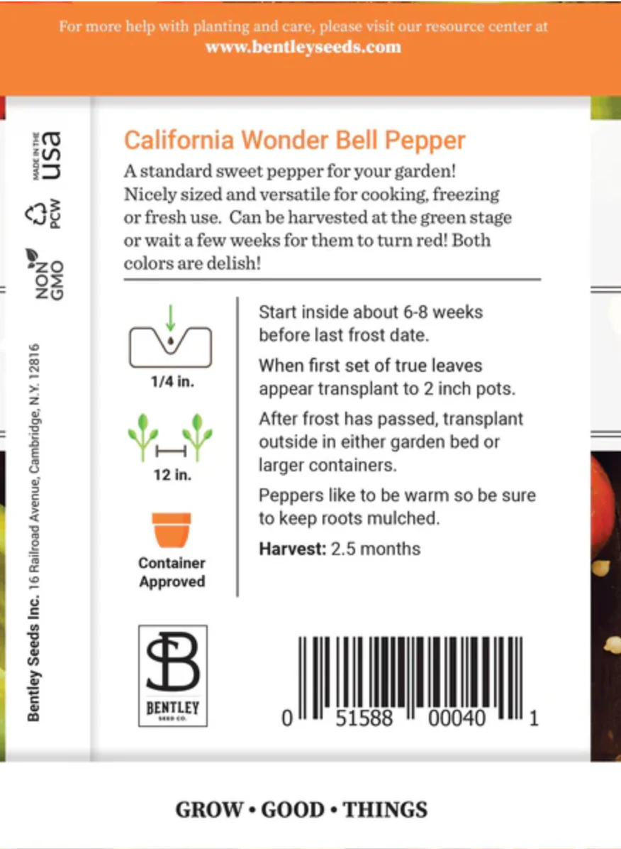 Pepper 'California Wonder' - Vegetable Seeds - Image 2