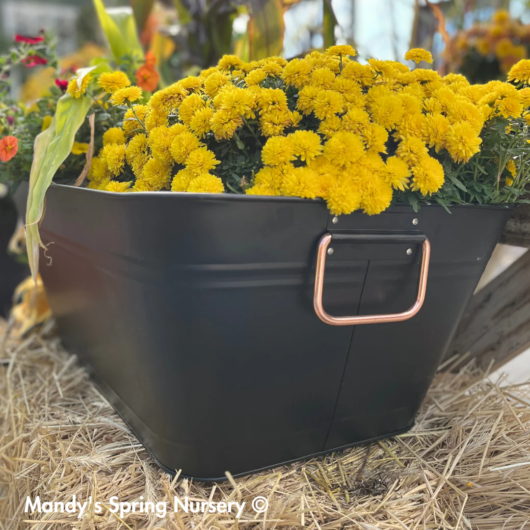 Planter & Beverage Tub - Image 2