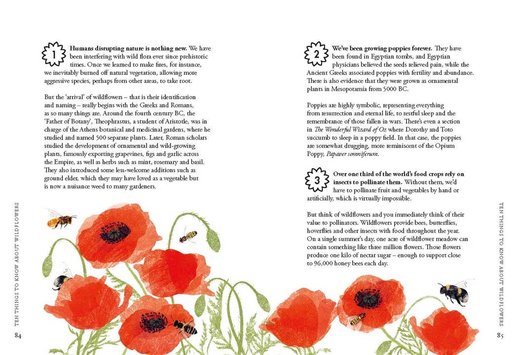 Planting Wildflowers - Image 5