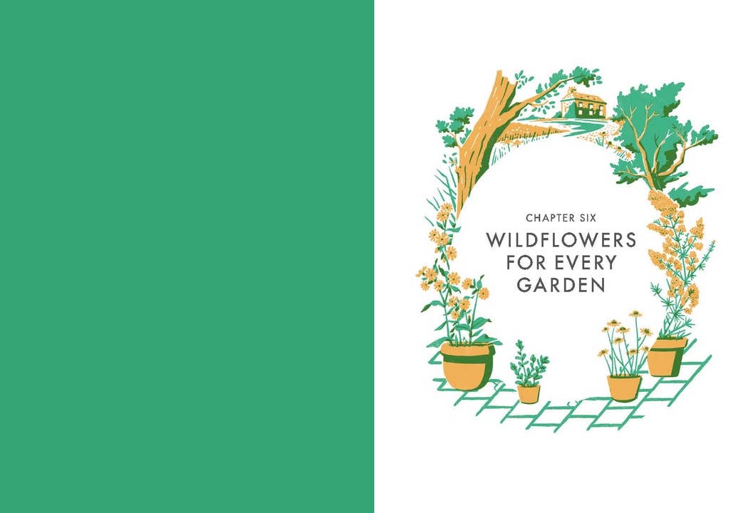 Planting Wildflowers - Image 6
