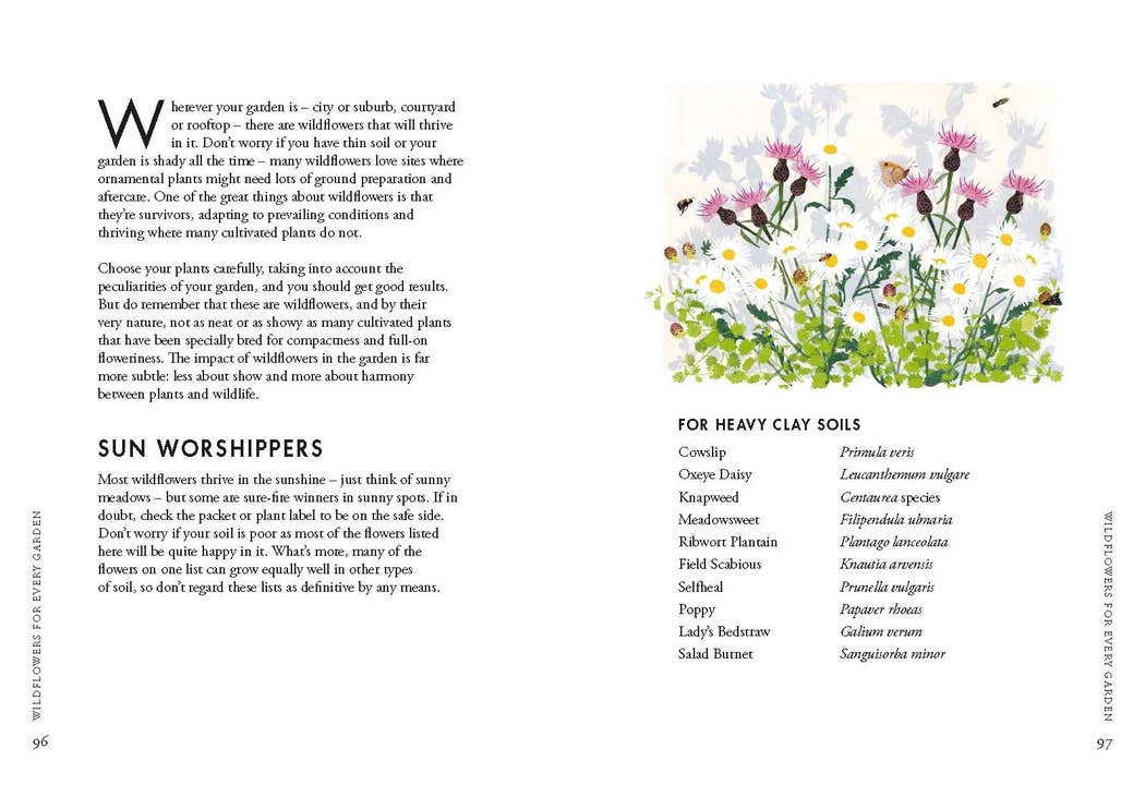 Planting Wildflowers - Image 7