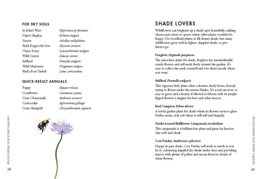 Planting Wildflowers - Image 8