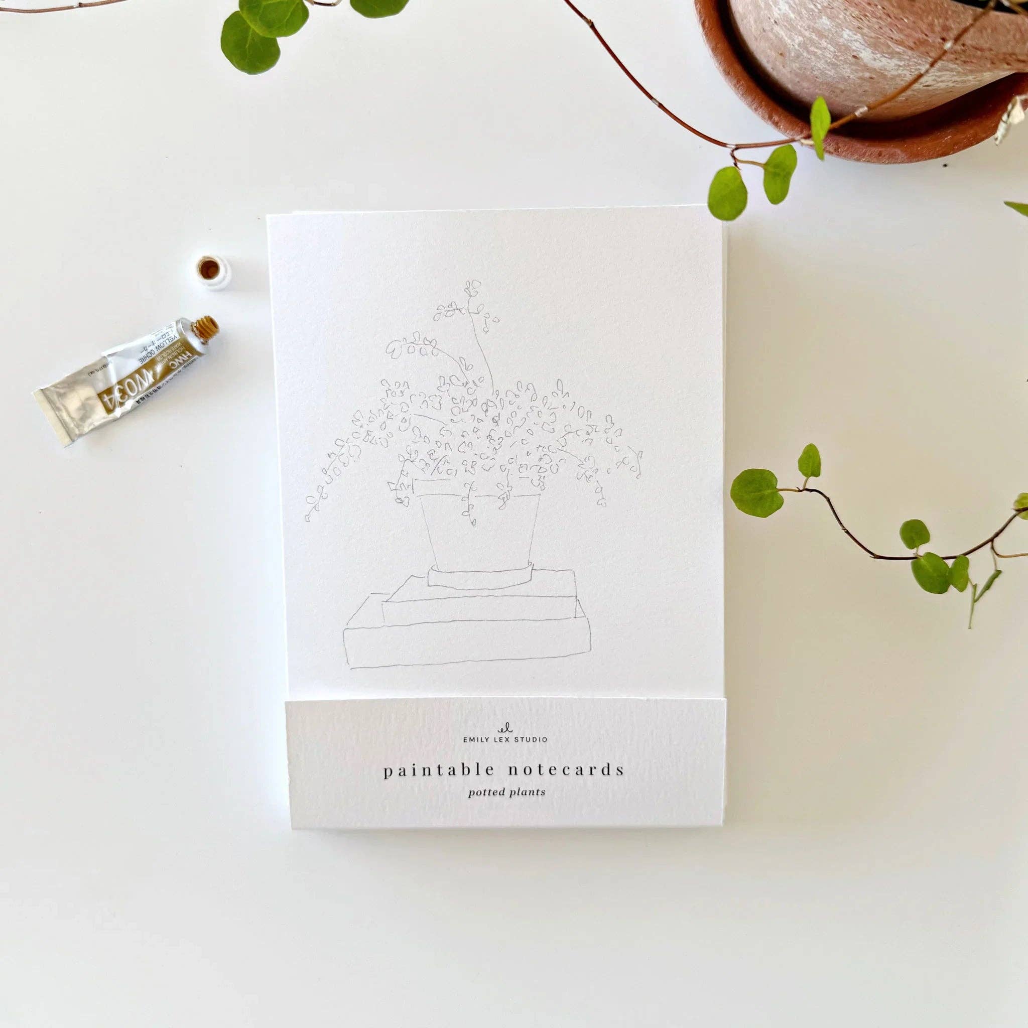 Potted plants paintable watercolor notecard set - Image 2