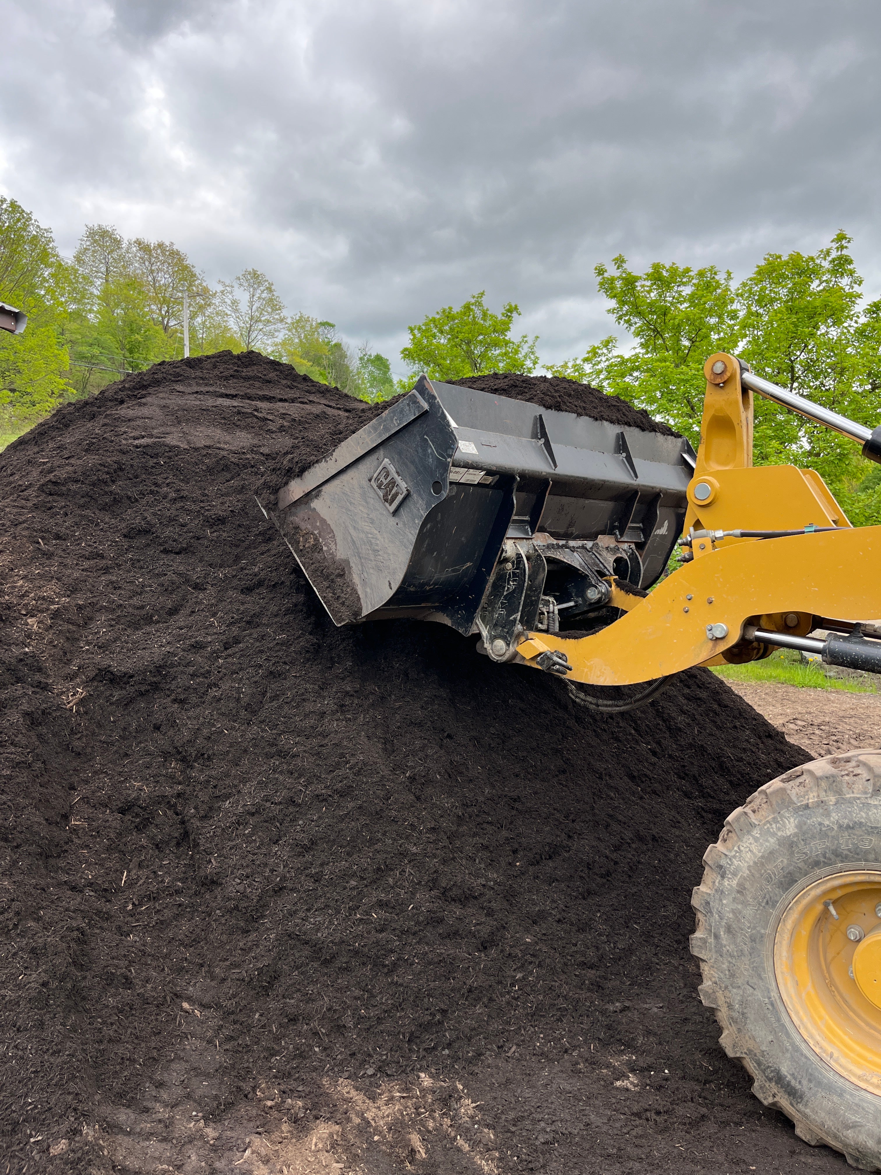 Bulk Bark Mulch Premium Dark - Image 4