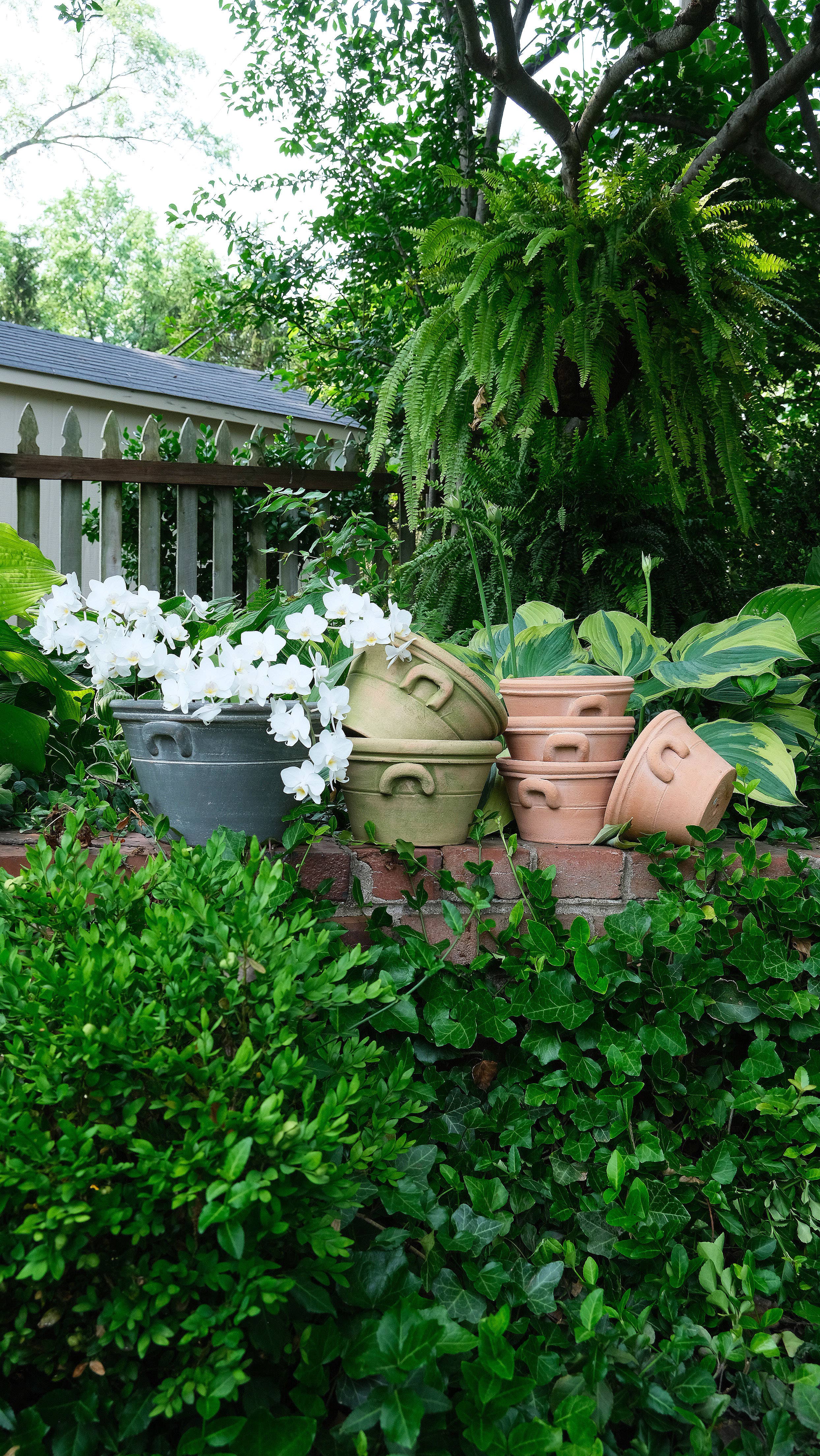 Provence Pot #2 - Set of 4 - Image 3