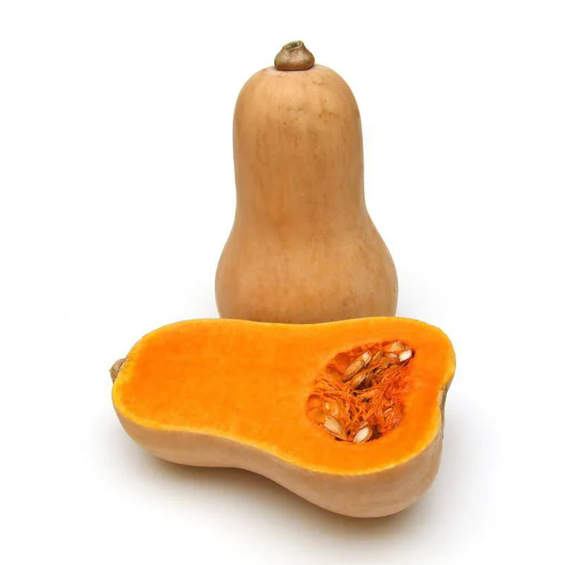 Squash Butternut Waltham ( Heirloom- NON GMO) Seeds - Image 2