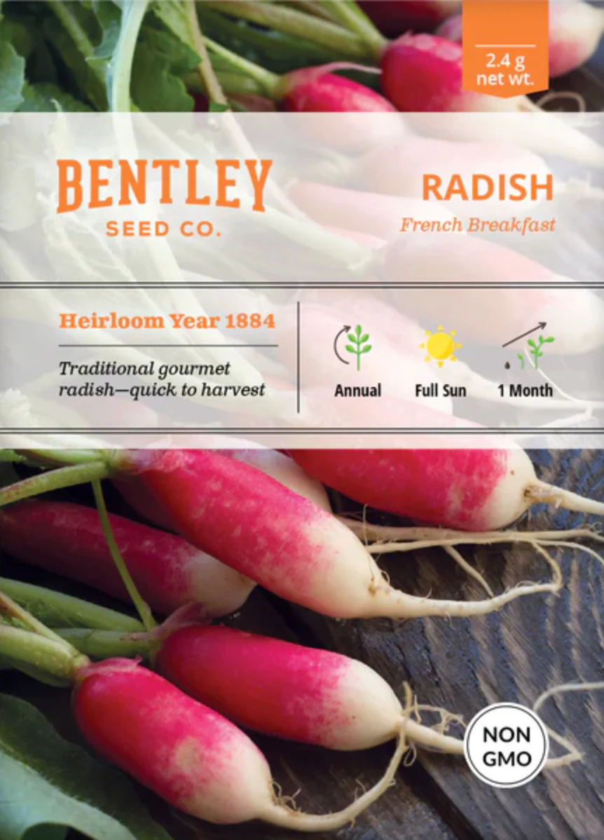 Radish 'French Breakfast' - Vegetable Seeds - Image 2