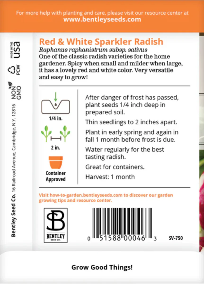 Radish 'Sparkler ' - Vegetable Seeds - Image 3