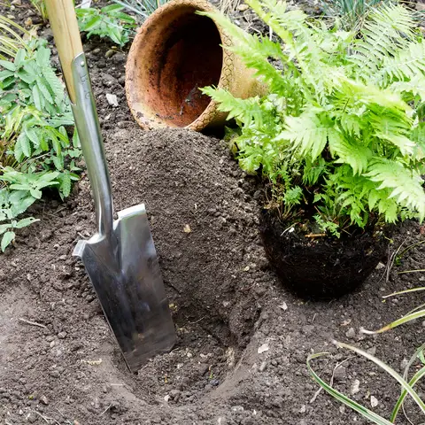 RHS Transplanting Spade - Image 3