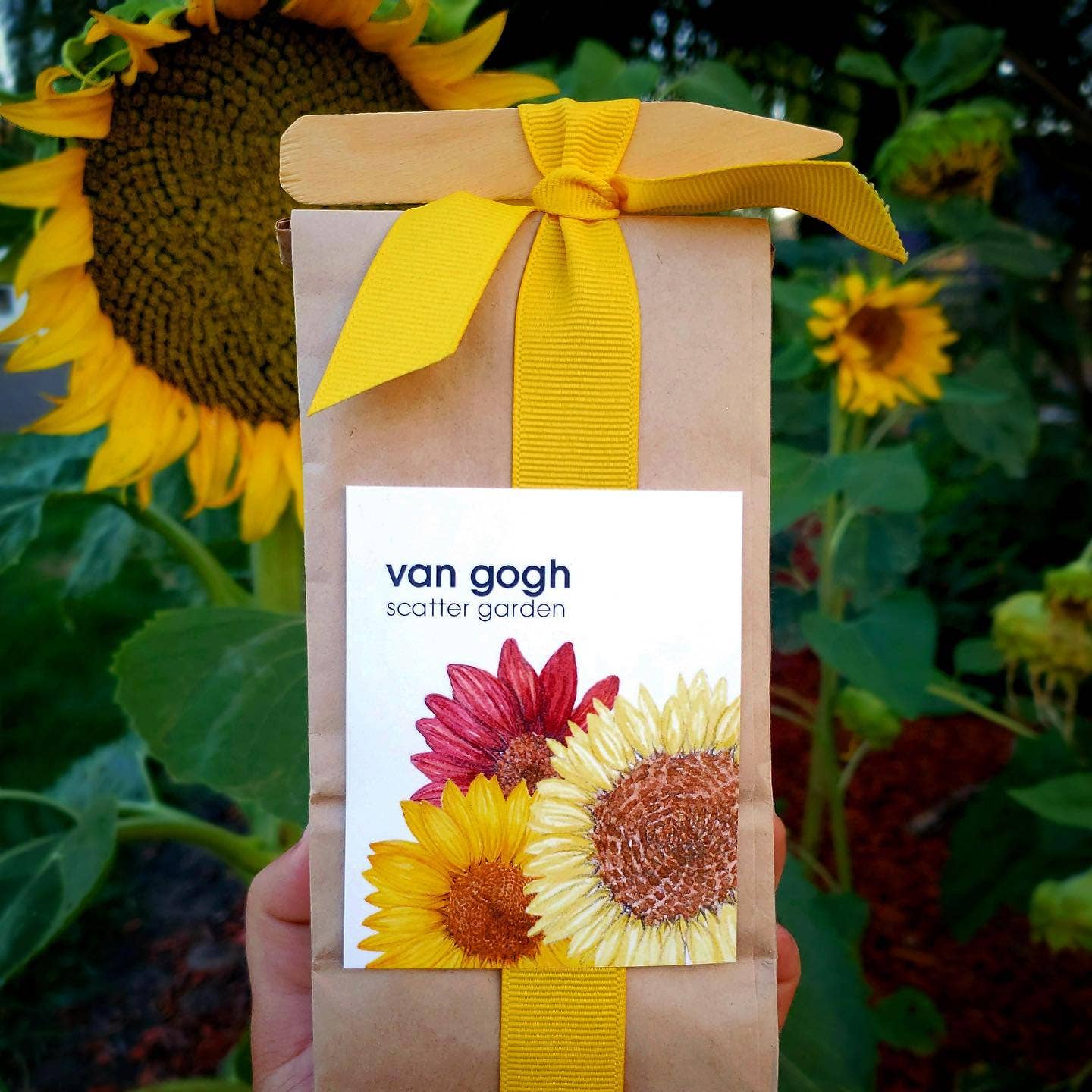 Scatter Garden | Van Gogh Sunflowers | Fall | Best Seller - Image 5