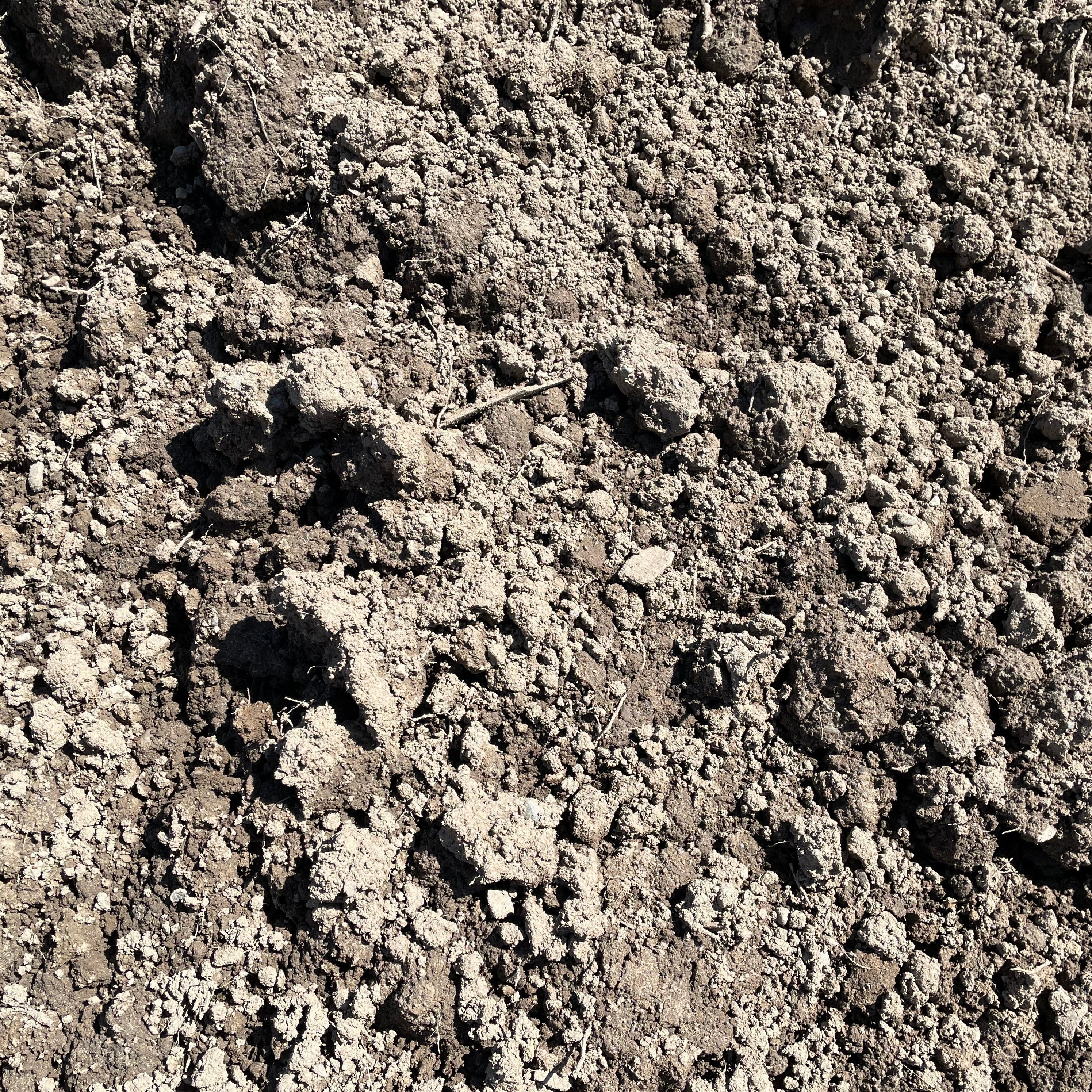 Bulk Screened Top Soil/Loam