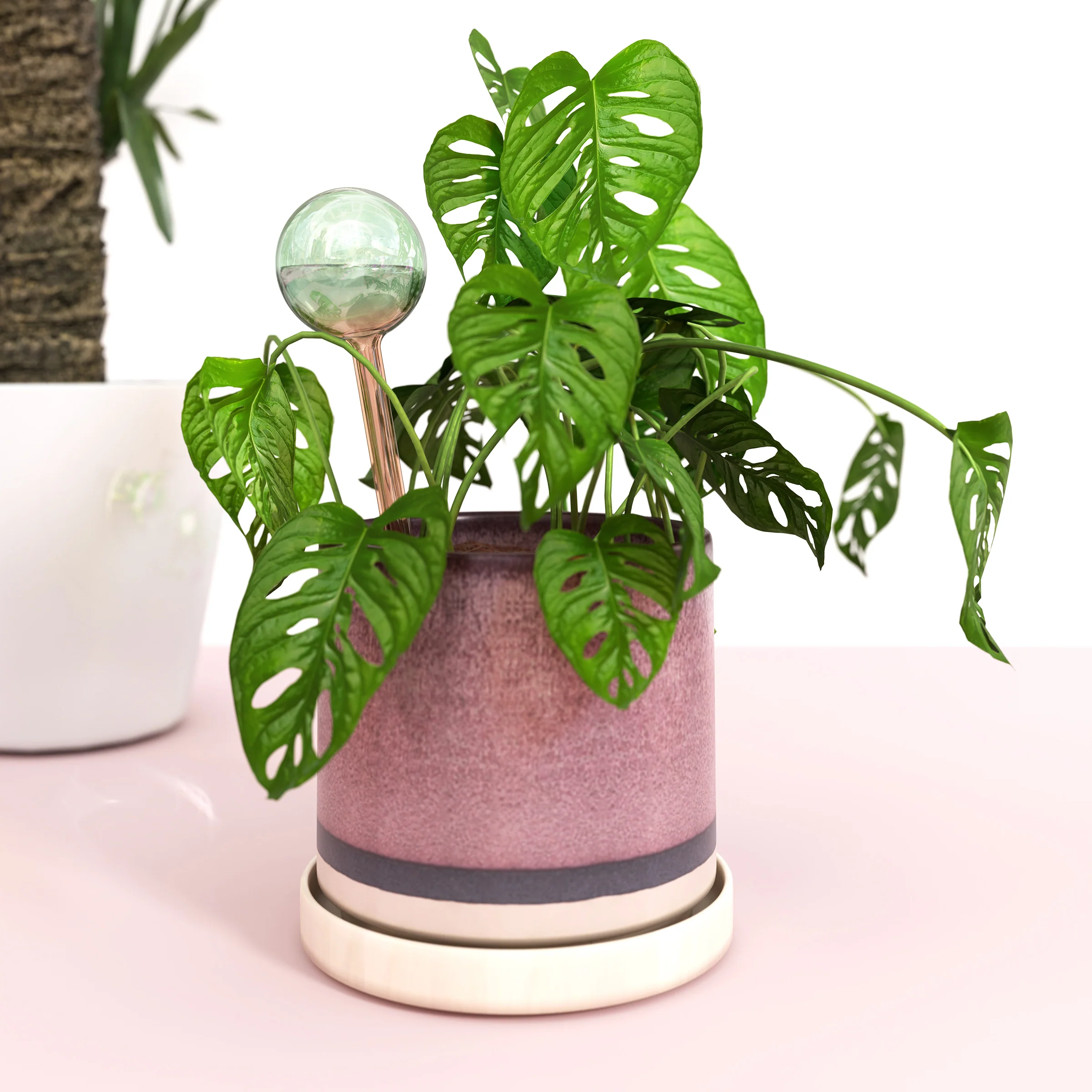Self-Watering Plant Globes - Image 2