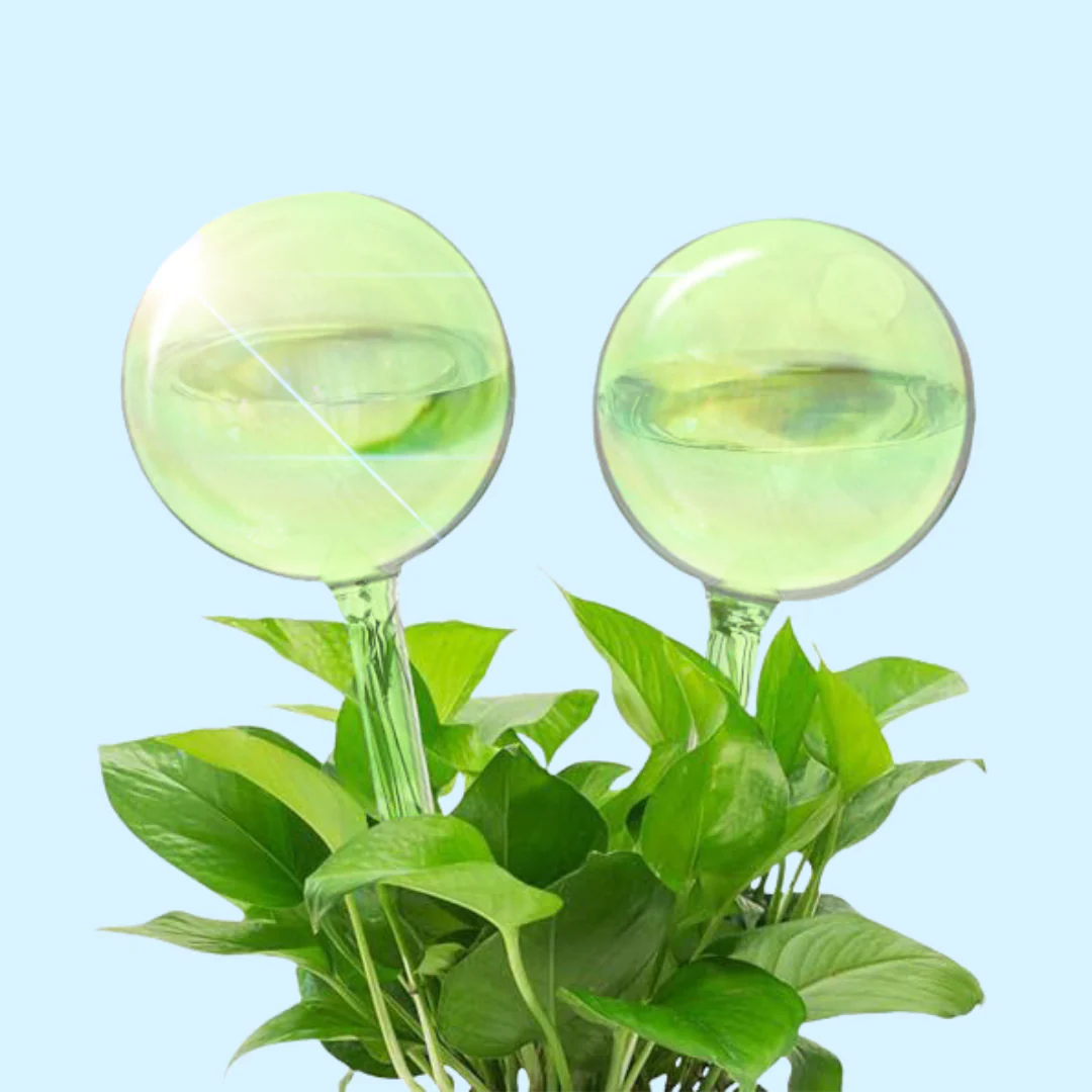 Self-Watering Plant Globes - Image 4