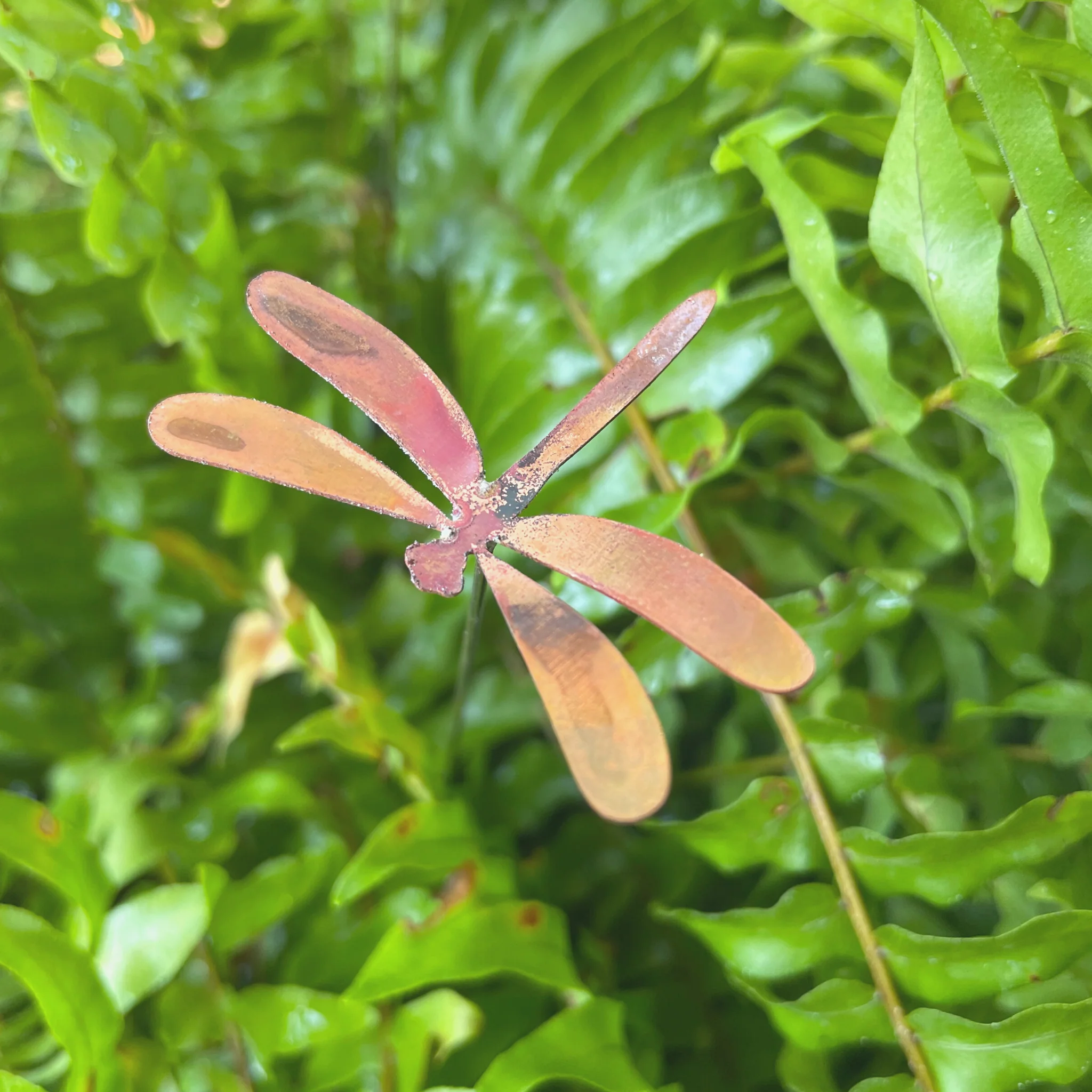 Small Natural Copper Dragonflies - Image 4