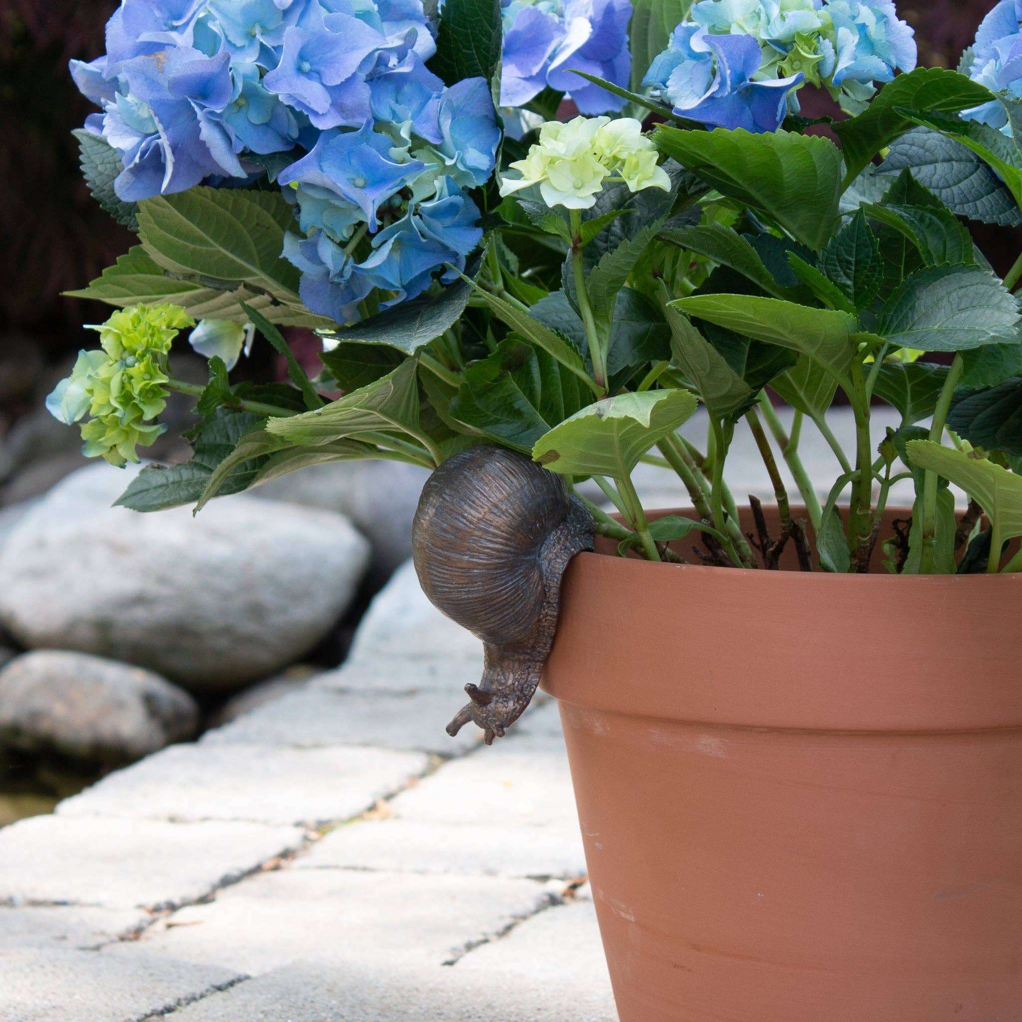 Snail Pot Hugger - Image 4