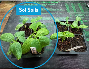 Soil (1Gal) Seedling & Propagation Mix - Image 5