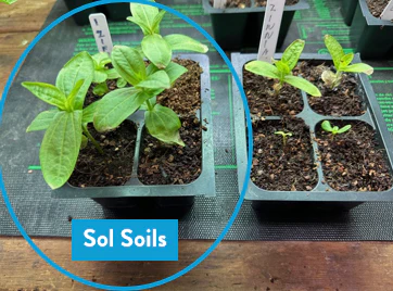 Soil (1Gal) Seedling & Propagation Mix - Image 6