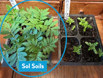 Soil (1Gal) Seedling & Propagation Mix - Image 7