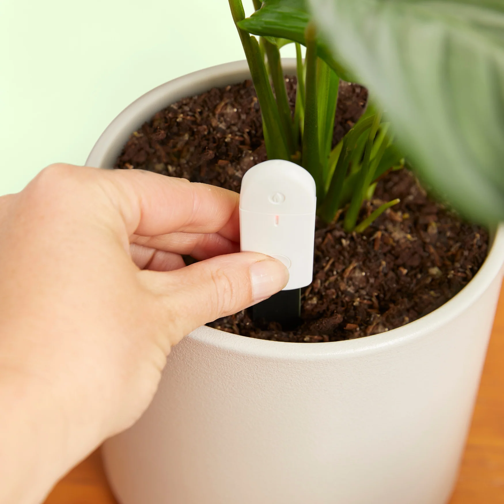 Soil Moisture Meter For Houseplants - Image 2