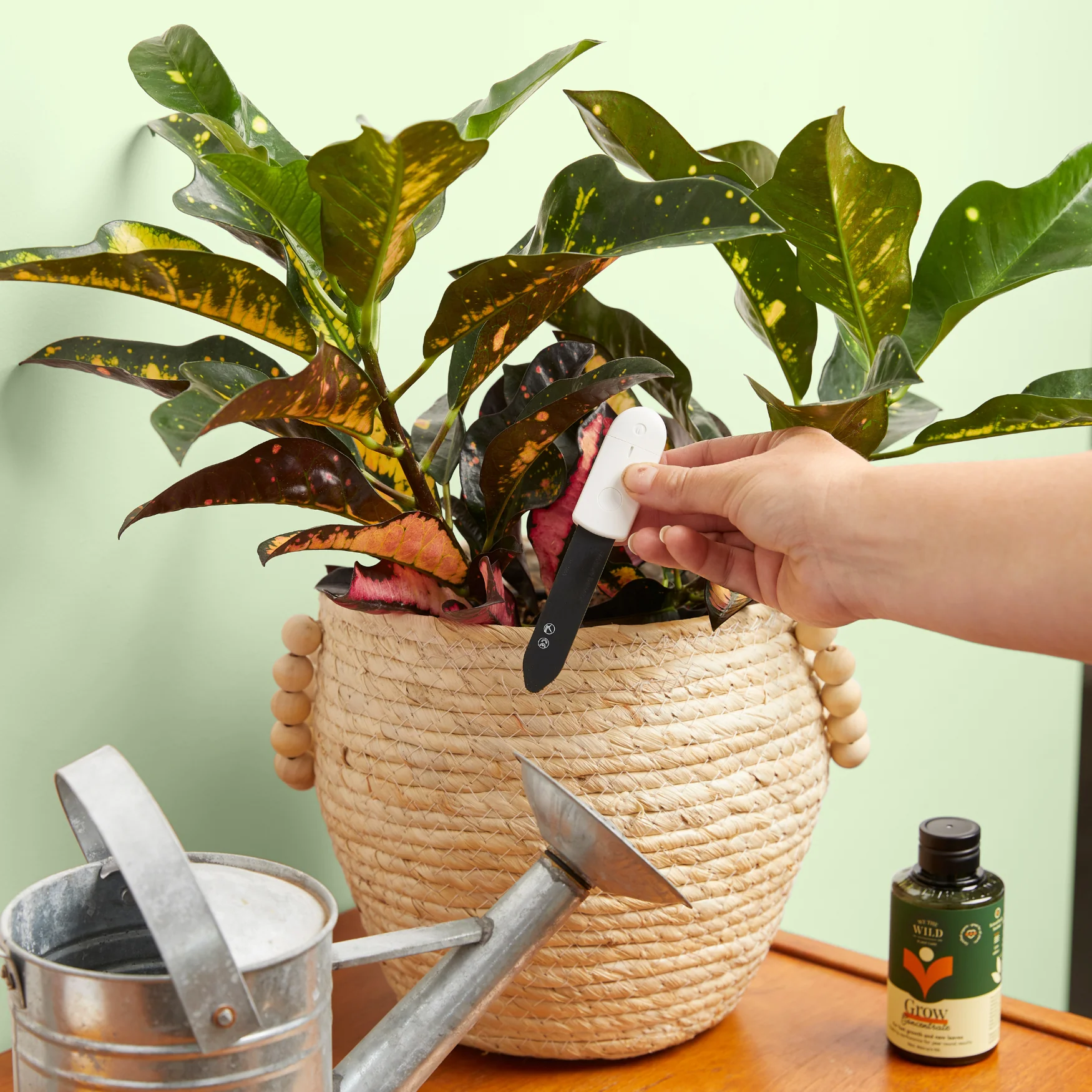 Soil Moisture Meter For Houseplants - Image 3