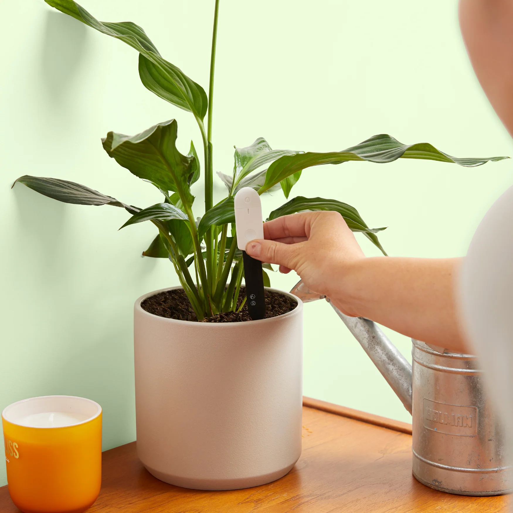 Soil Moisture Meter For Houseplants - Image 4
