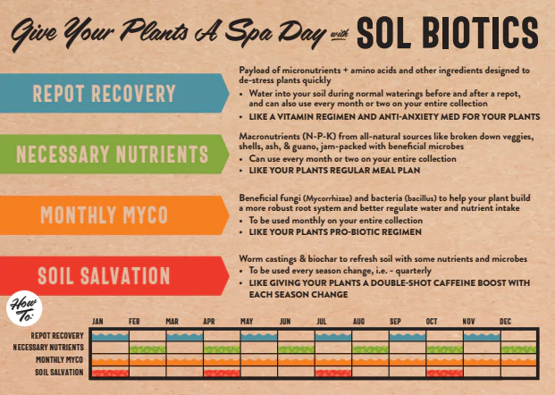 Sol Biotics - Monthly Myco - Mycorrhizal Fungi Inoculant - Image 6