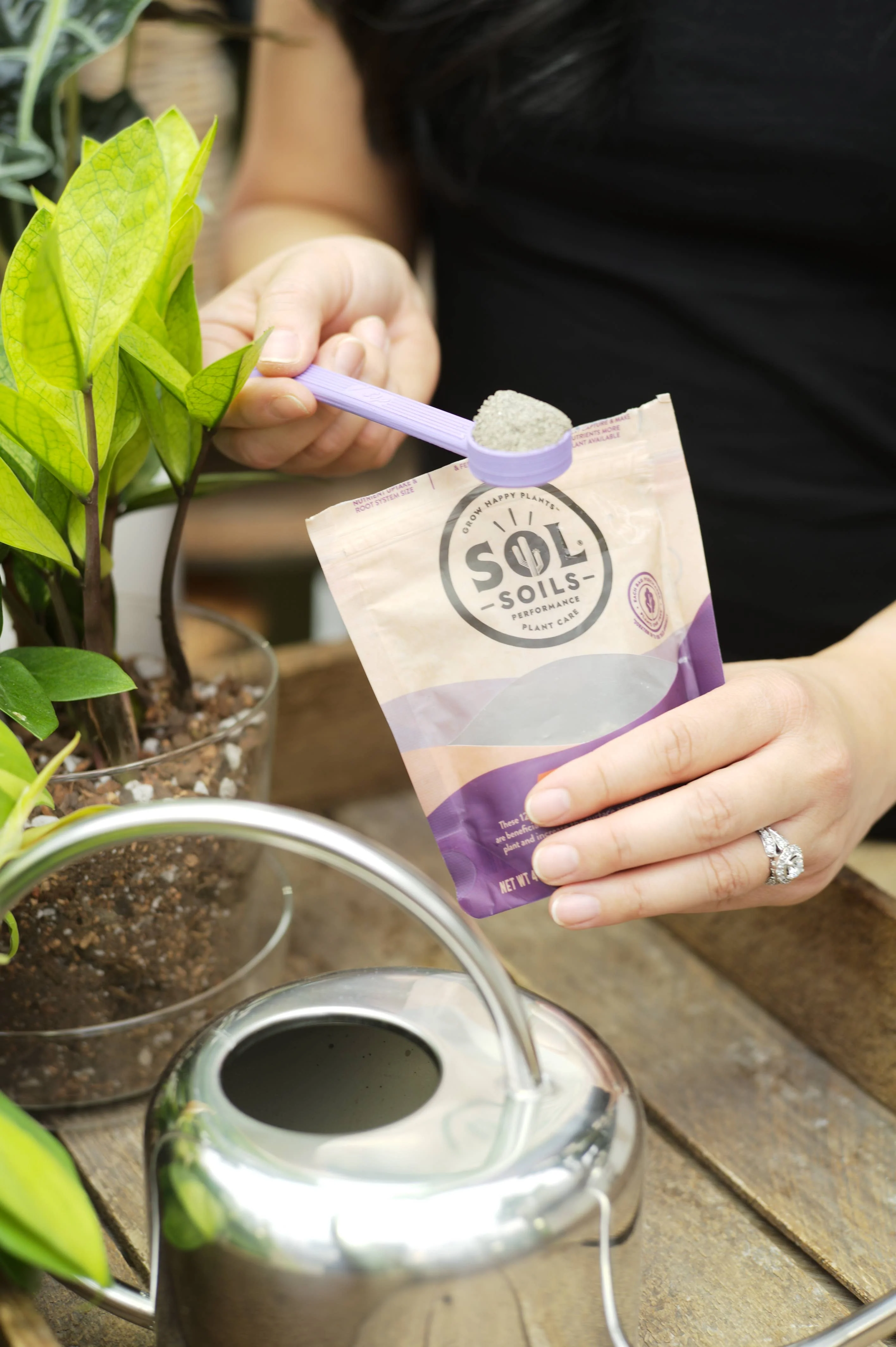 Sol Biotics - Monthly Myco - Mycorrhizal Fungi Inoculant - Image 7