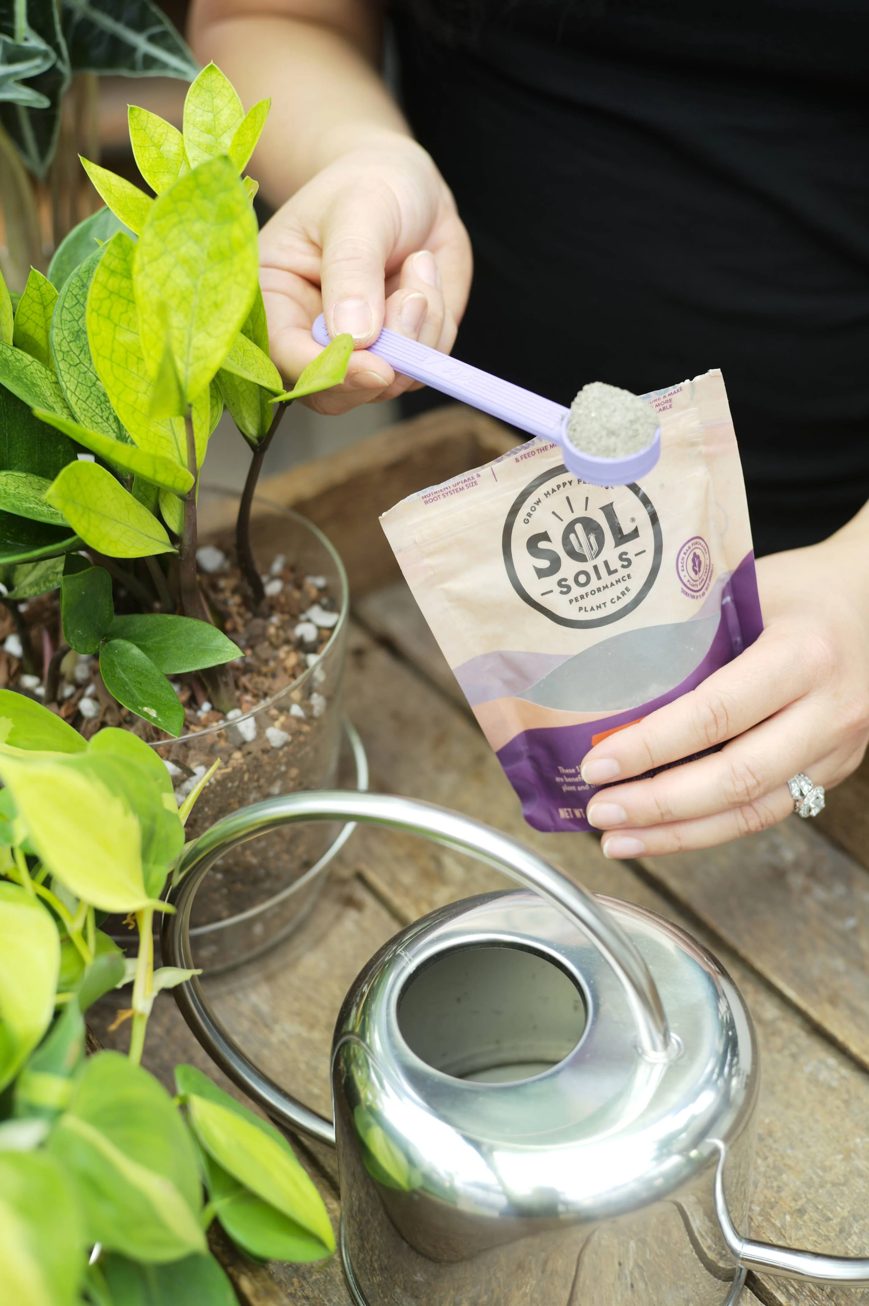 Sol Biotics - Repot Recovery - Repotting Shock Treatment - Image 7