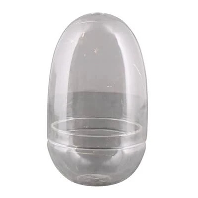 Sole Terrarium, Glass - Oval, Sm - Image 2