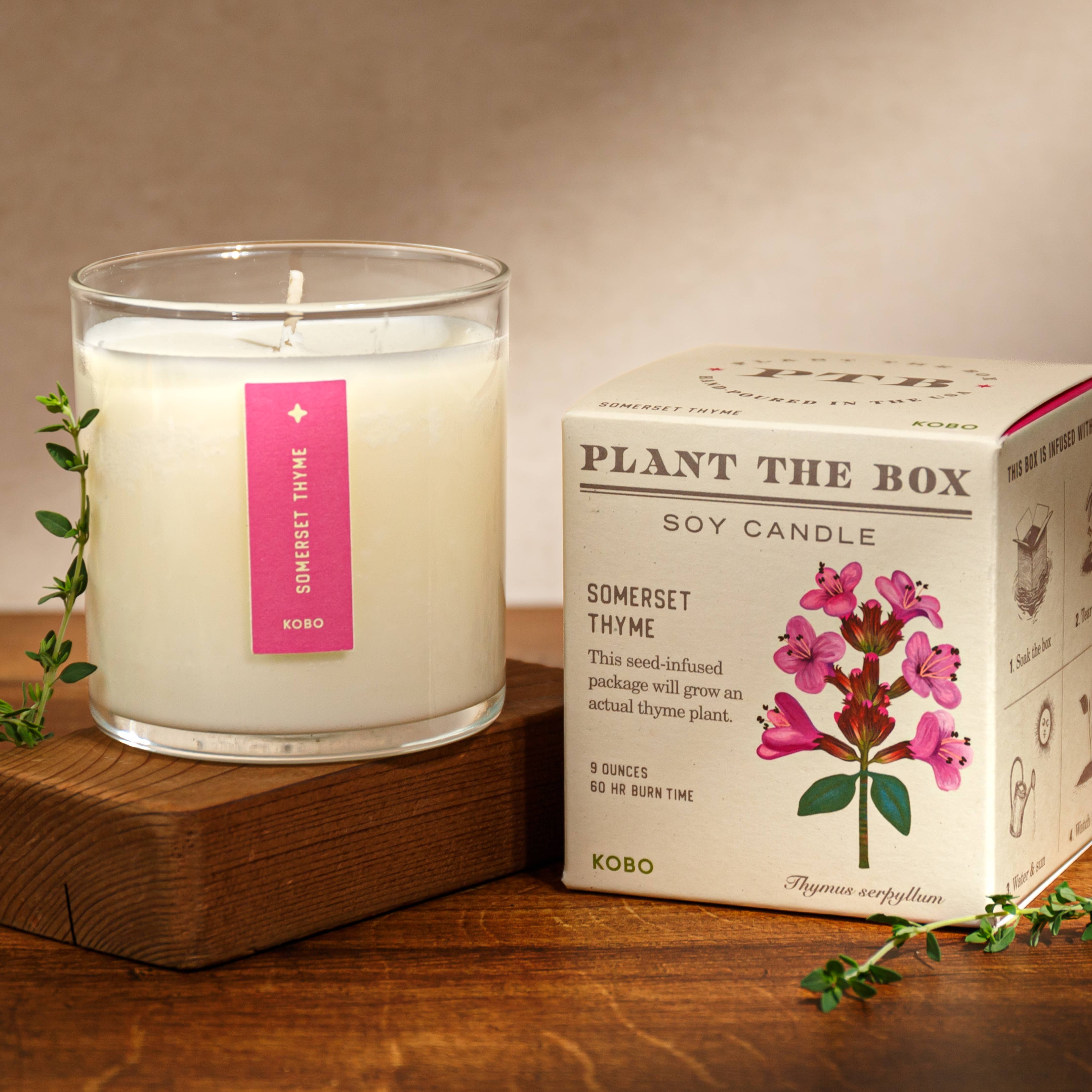 Somerset Thyme - Plant the Box Candle - 9oz. - Image 2
