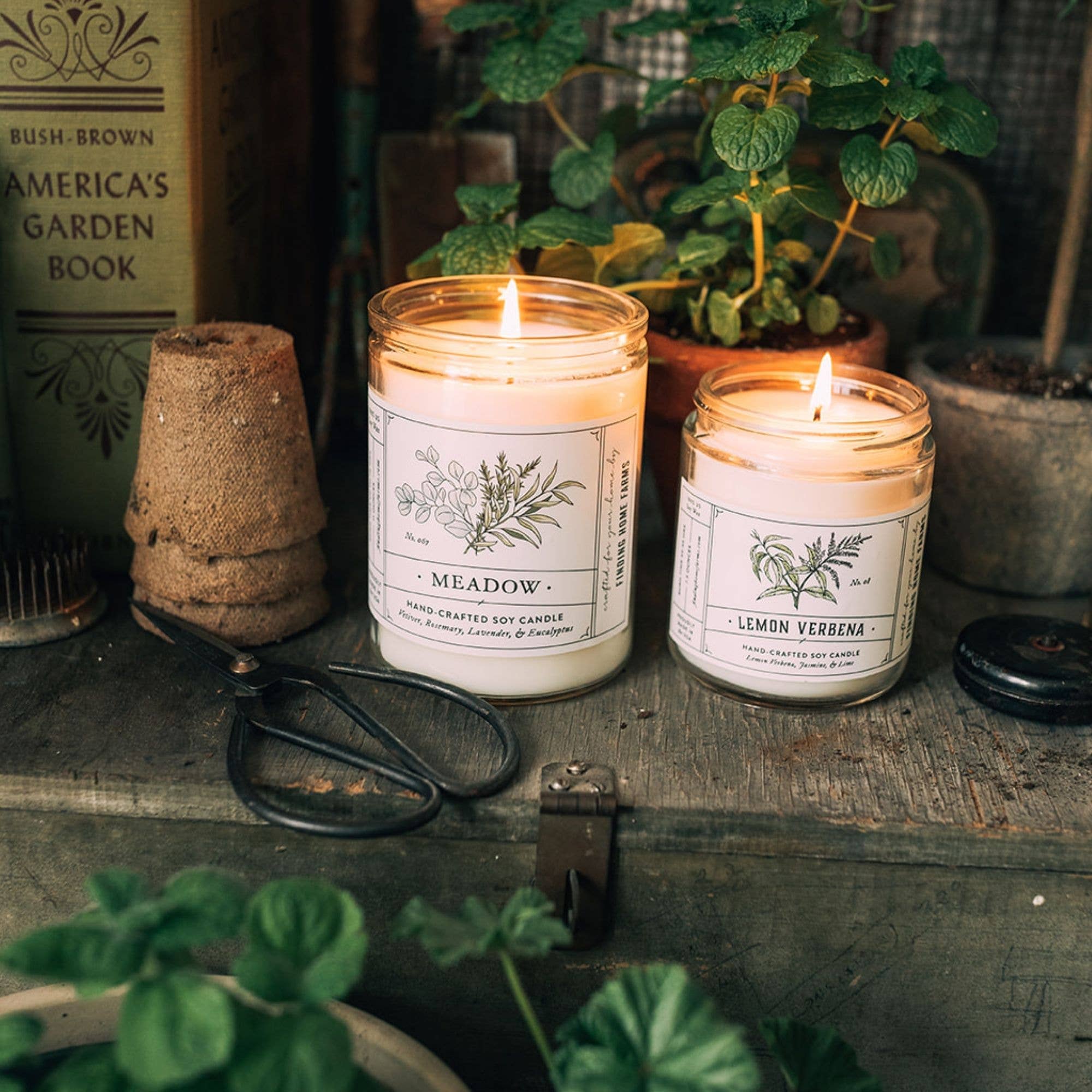 Soy Candle, Lemon Verbena, Fresh Scent - Image 5