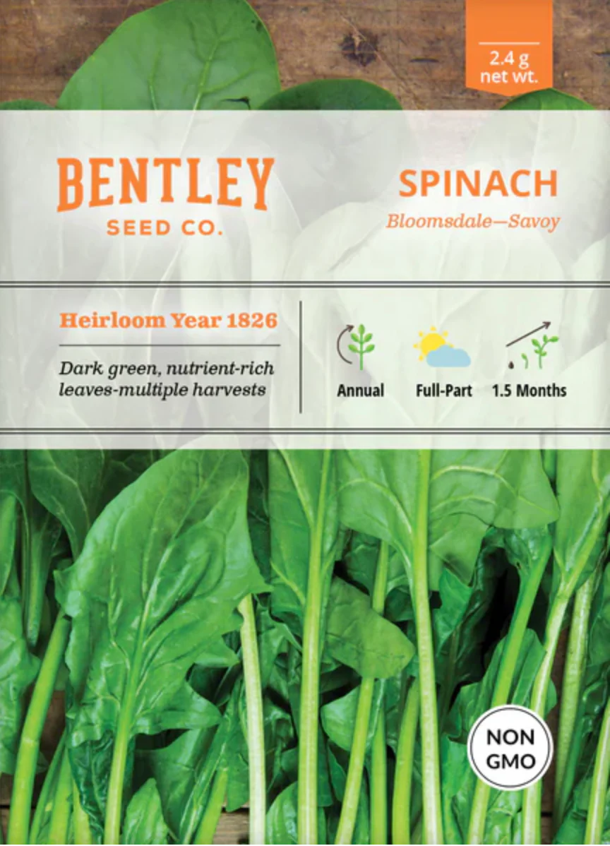 Spinach 'Bloomsdale' - Vegetable Seeds - Image 2
