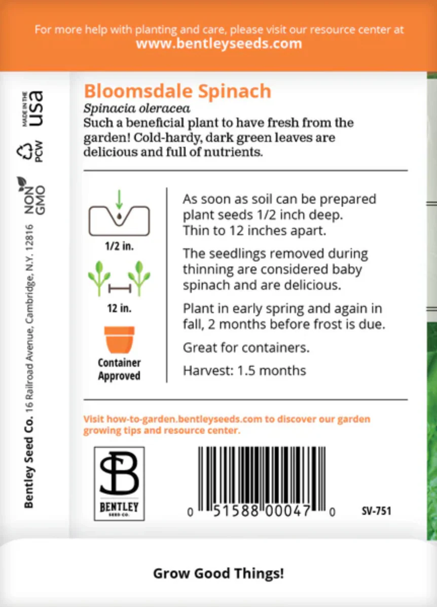 Spinach 'Bloomsdale' - Vegetable Seeds - Image 3
