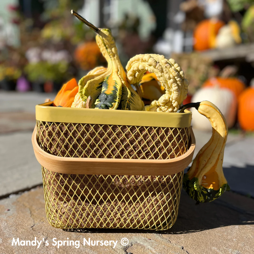 Square Planter w/ Bamboo Handle & Liner - Image 2