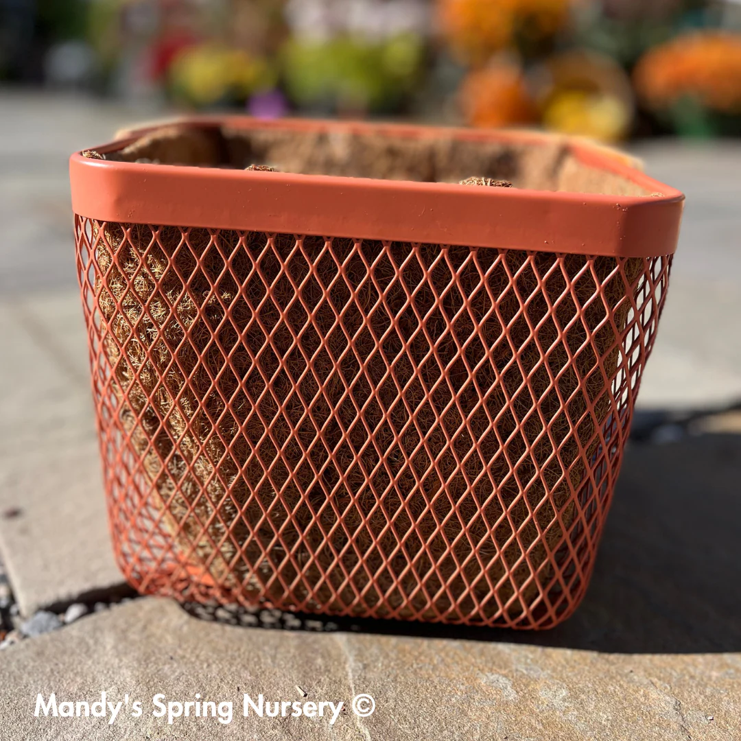 Square Planter w/ Bamboo Handle & Liner - Image 4