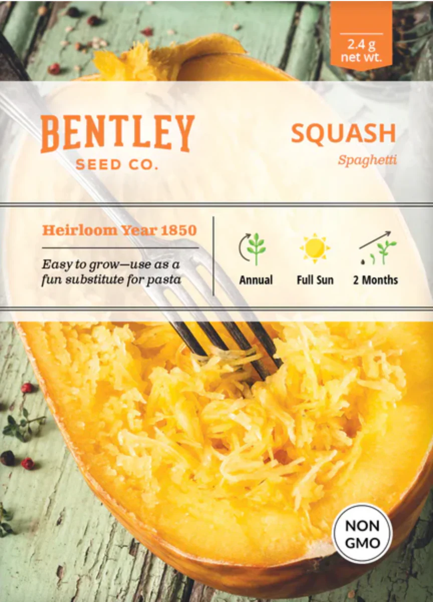 Squash 'Spaghetti' - Vegetable Seeds - Image 2